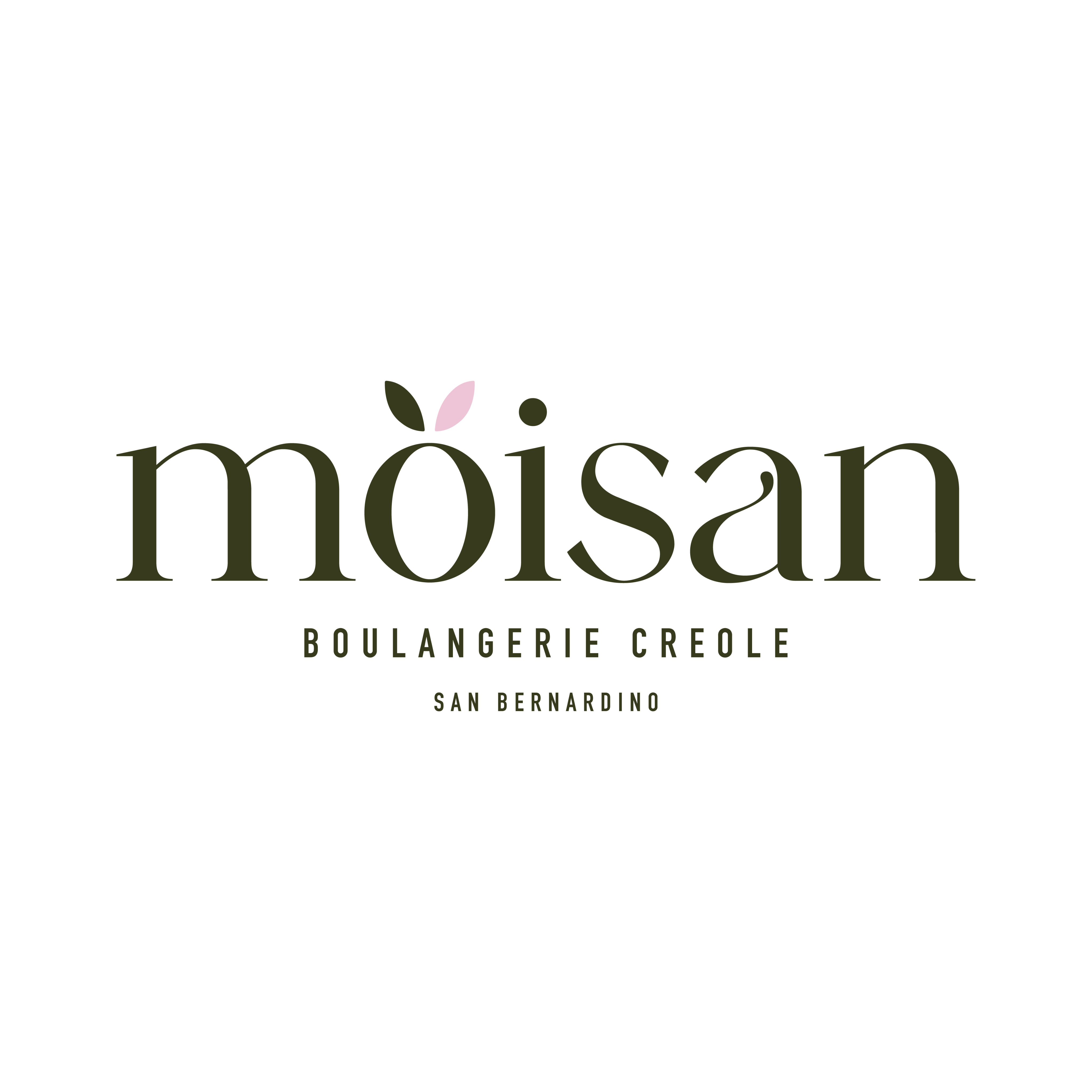 Moisan